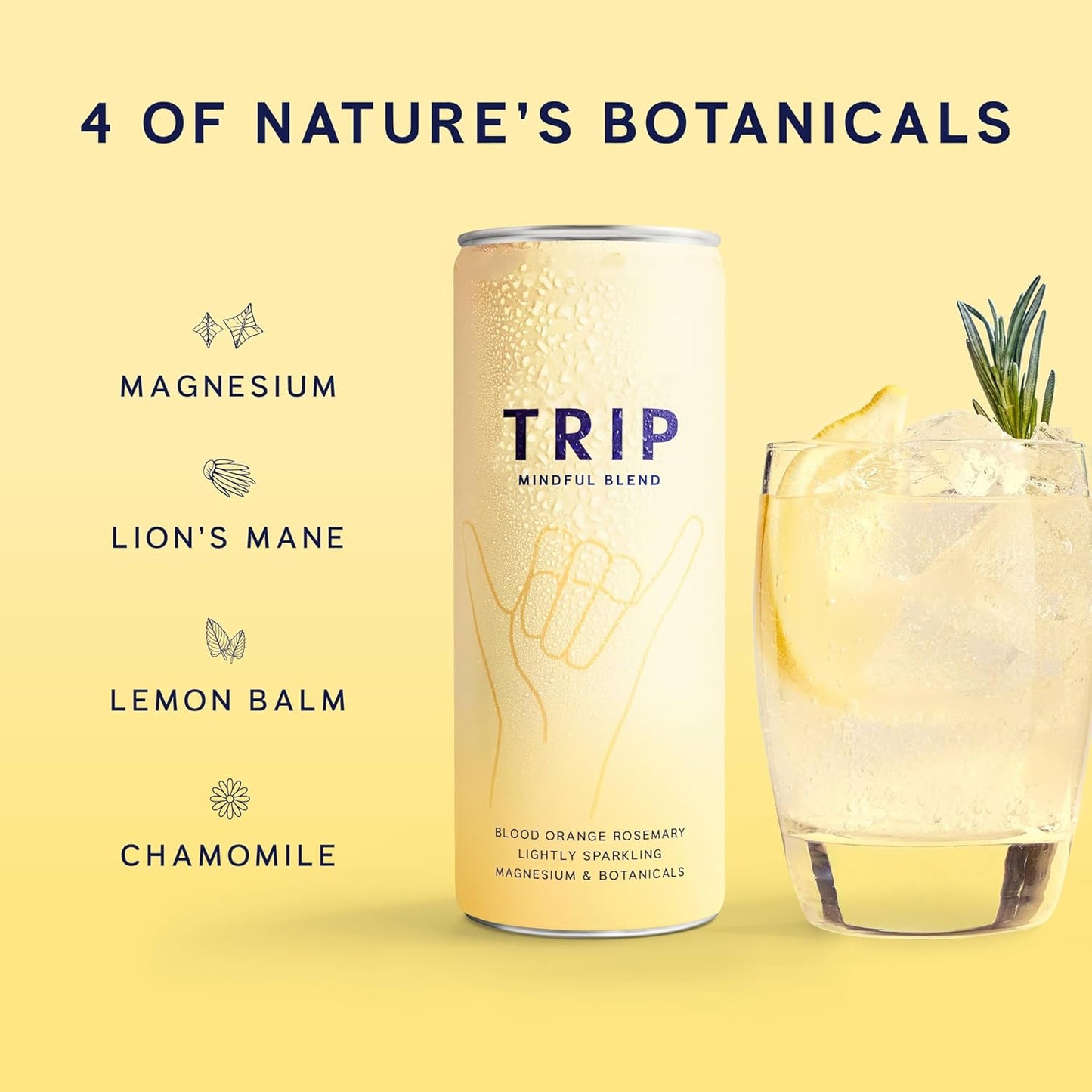 TRIP Mindful Blends - Blood Orange Sparkling Drink with 1440MG Magnesium + Lion’S Mane + Chamomile + Lemon Balm. Low Calorie, No Added Sugar and Vegan (Pack of 12 X 250Ml)