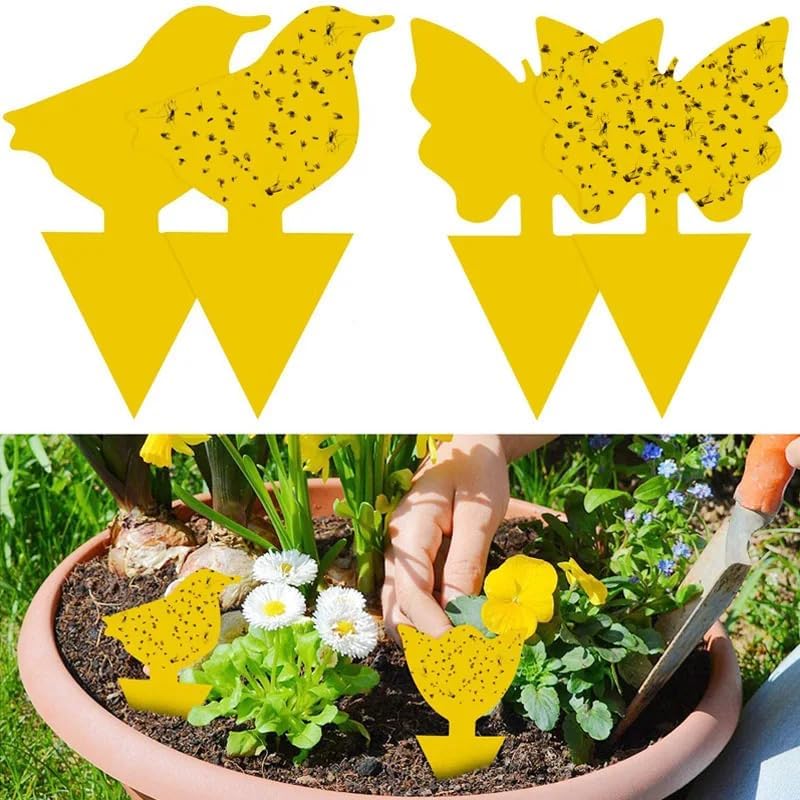 90 Pcs Fruit Fly Traps, Double-Sided Fungus Gnat Sticky Fly Catcher for Plant Fly Control Indoor Outdoor Multiple Insects Control - Non-Toxic, Waterproof