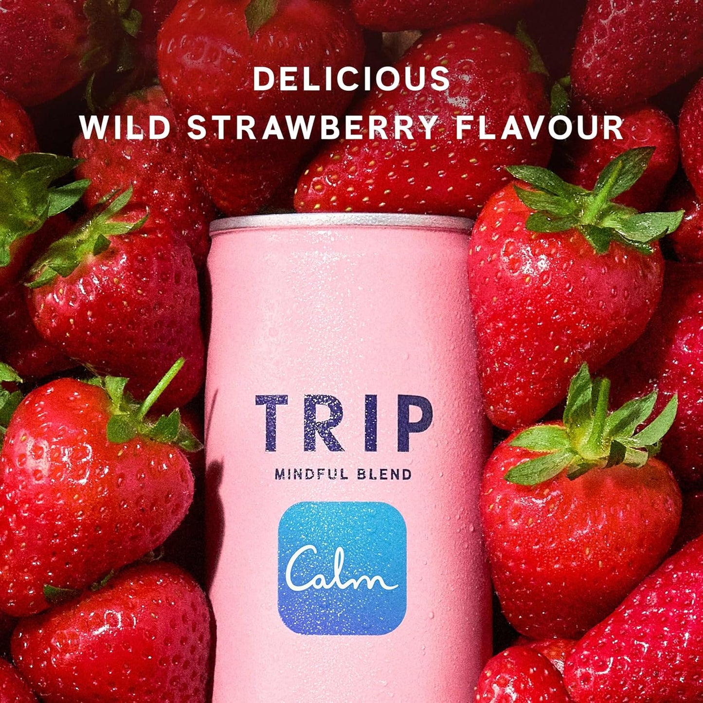 TRIP Mindful Blends - Wild Strawberry Sparkling Drink with 1440MG Magnesium Citrate + Lion’S Mane + Chamomile + Lemon Balm. Low Calorie, No Added Sugar and Vegan (Pack of 12 X 250Ml)