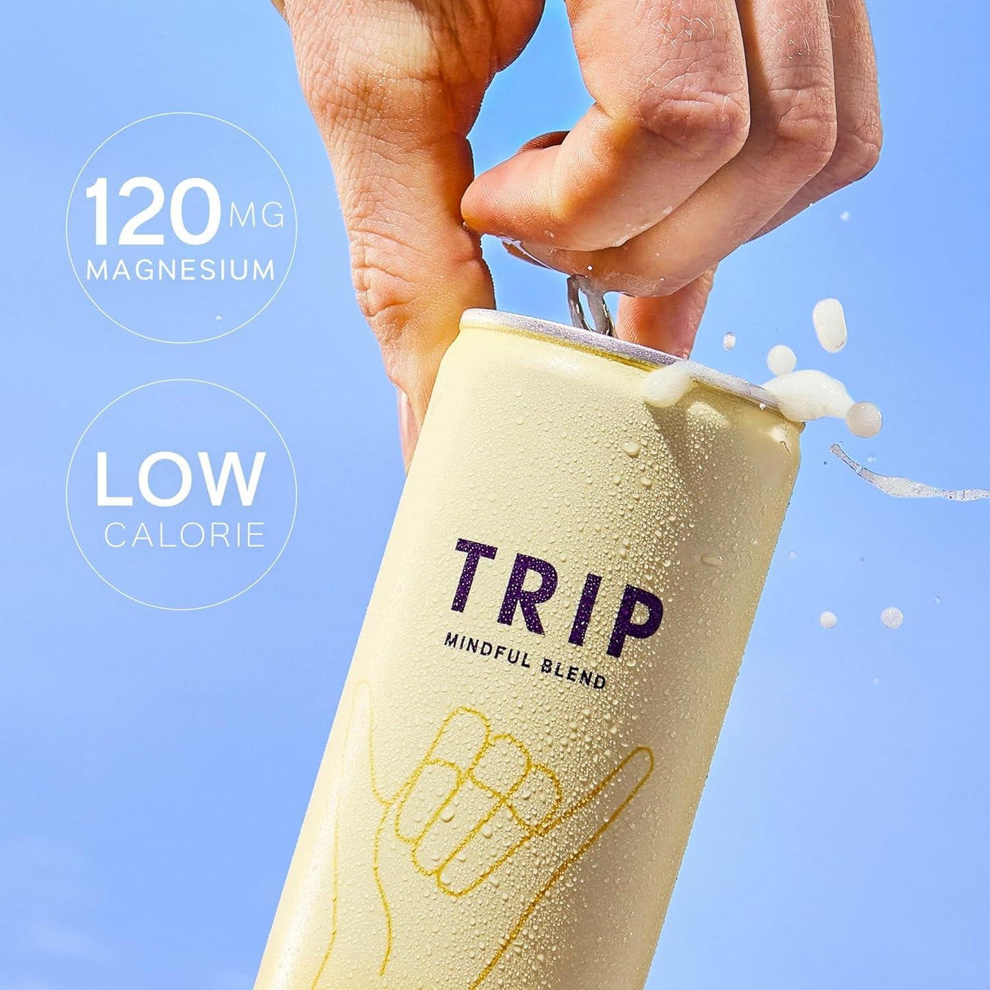 TRIP Mindful Blends Mixed Pack Sparkling Drink 1440MG Magnesium Lion’s Mane Chamomile Lemon Balm Low Calorie Vegan 12 X 250ML Natural Fruit Beverage