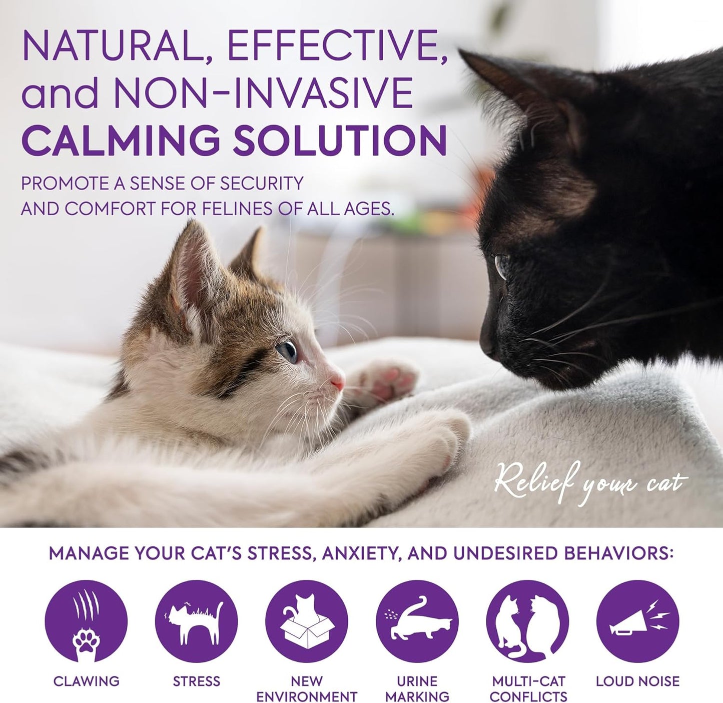 Topsum Cat Calming Plug-In: Premium Cat Pheromone Diffuser - Cat Plug in Calmer - Pet Calming Plug in - Promotes Relaxation & Well-Being, 3 Pack (Amethyst) TopSum