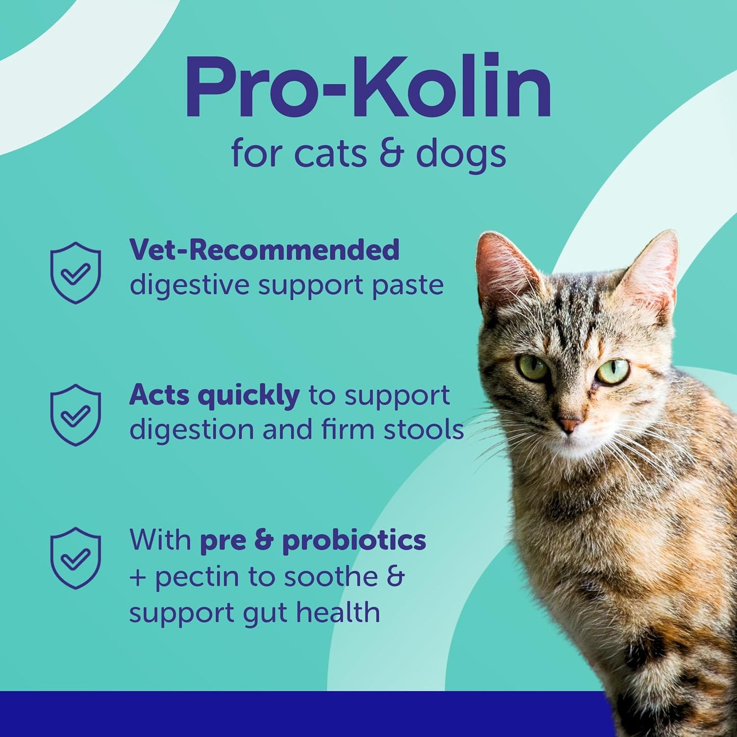 Protexin Pro-Kolin Digestive Support Paste for Cats & Dogs to Firm Poop, 60Ml Syringe, Beef Flavour