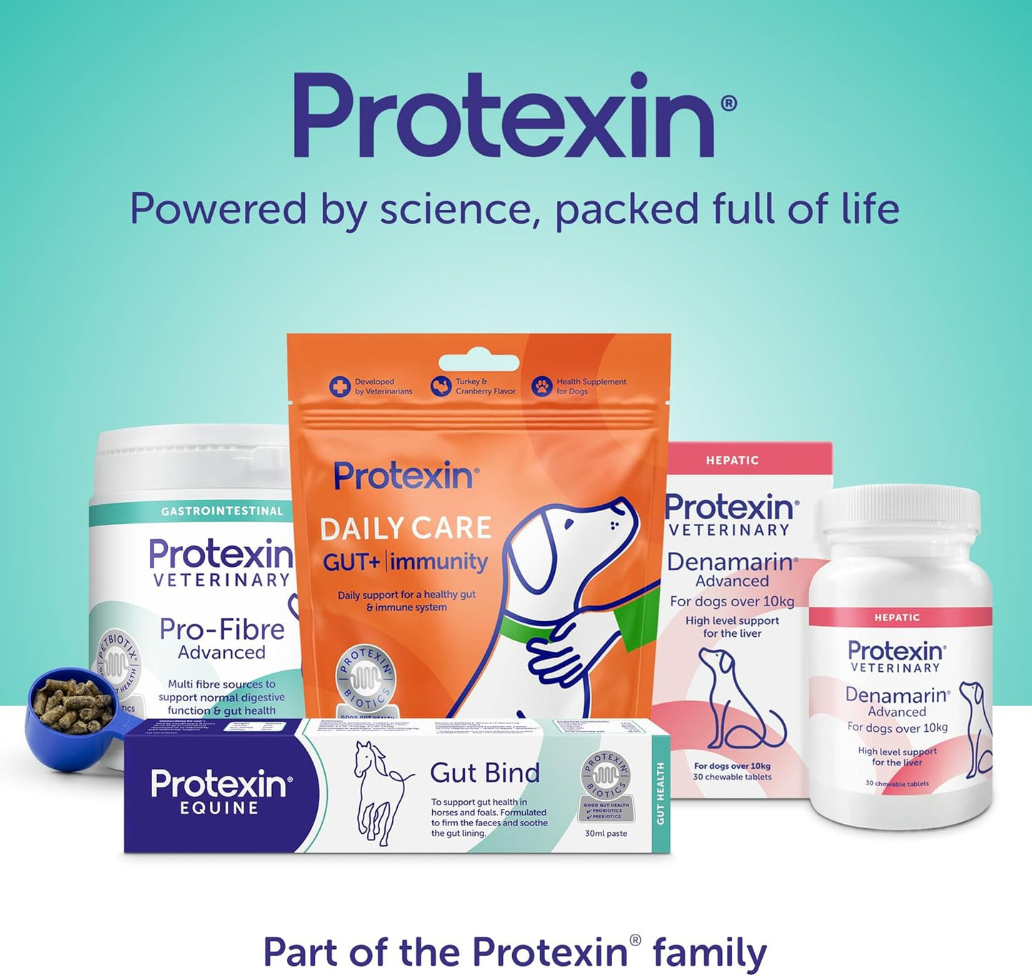 Protexin Pro-Kolin Digestive Support Paste for Cats & Dogs to Firm Poop, 60Ml Syringe, Beef Flavour
