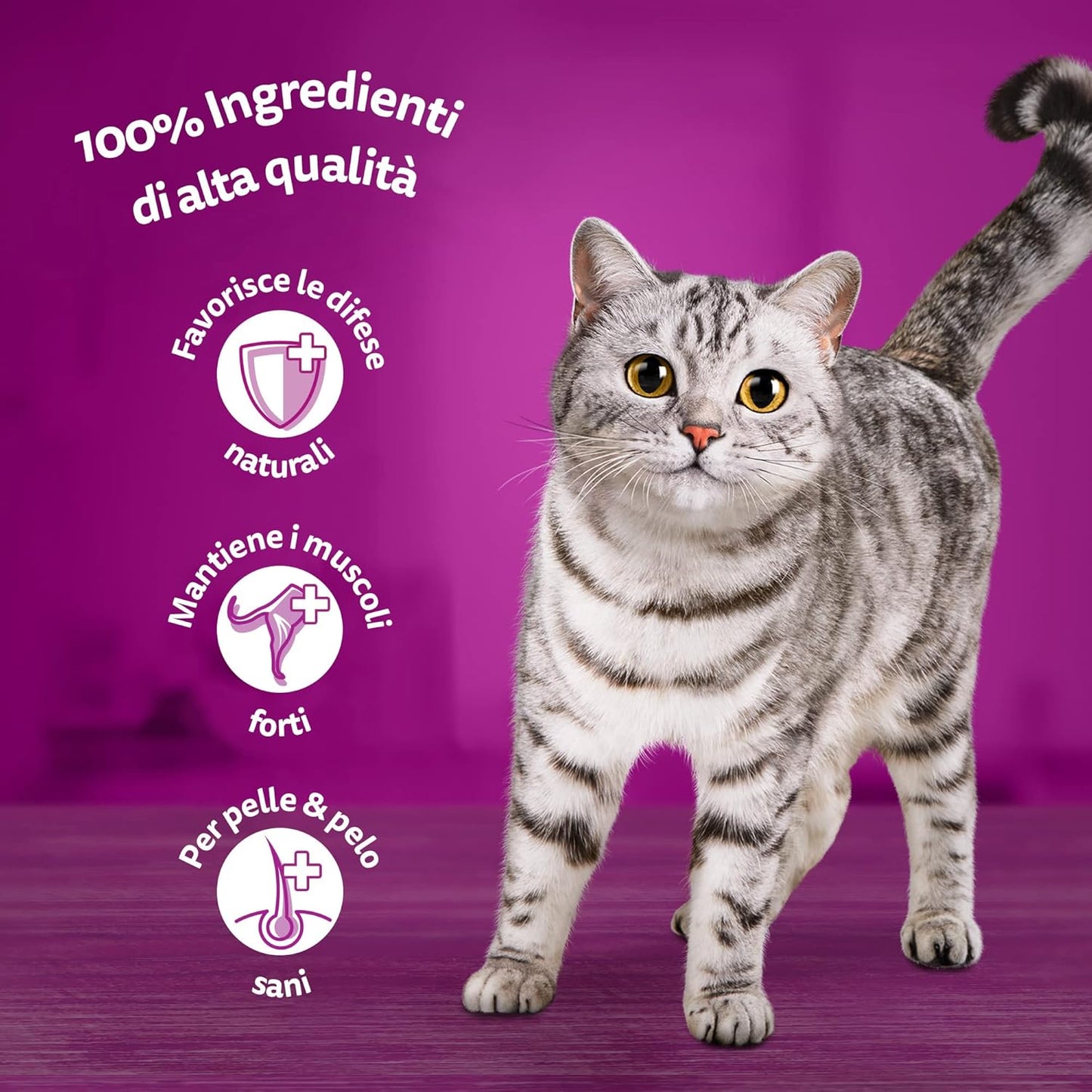 Whiskas 1+ Adult Classic Selection in Gravy 84 Pouches, Adult Wet Cat Food, Megapack (84 X 85 G) whiskas