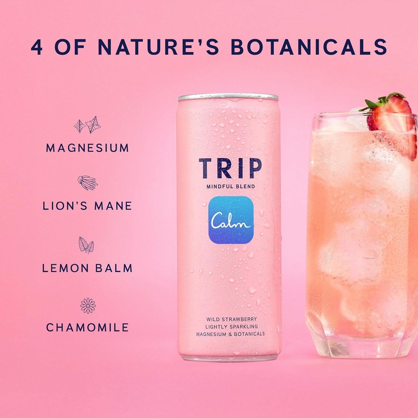 TRIP Mindful Blends - Wild Strawberry Sparkling Drink with 1440MG Magnesium Citrate + Lion’S Mane + Chamomile + Lemon Balm. Low Calorie, No Added Sugar and Vegan (Pack of 12 X 250Ml)